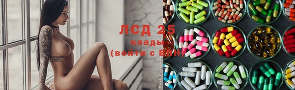 стаф Алексин