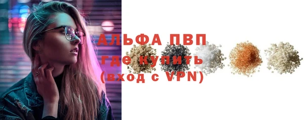 стаф Алексин
