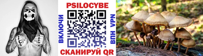 Псилоцибиновые грибы MAGIC MUSHROOMS Далматово